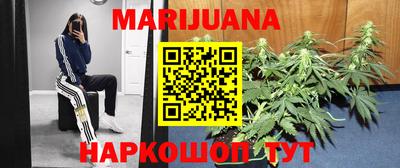 ALPHA PVP Бийск