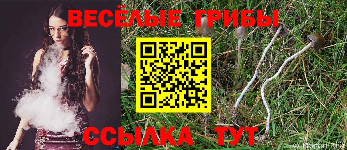 Галлюциногенные грибы мицелий Обнинск
