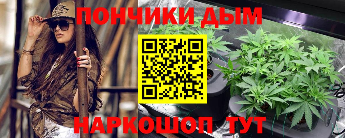 Шишки марихуана VHQ  Вход с VPN  Обнинск  Марихуана SATIVA & INDICA  Шишки марихуана SATIVA & INDICA  МАРИХУАНА ГИДРОПОН 